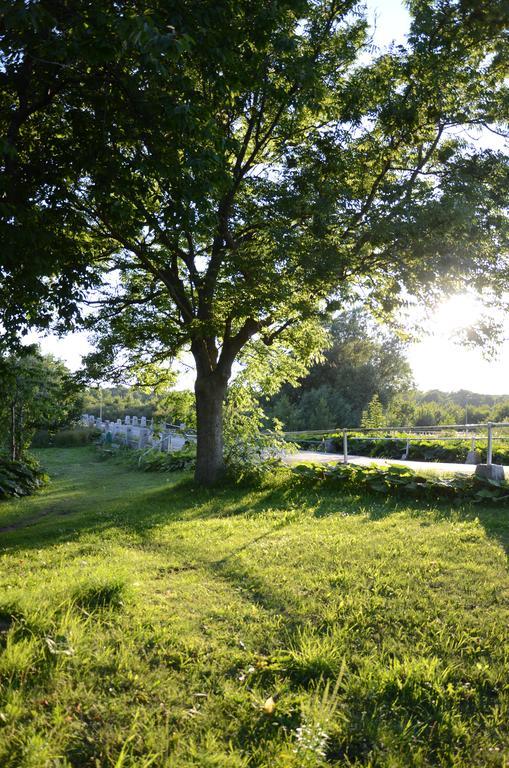 Tobisviks Camping Simrishamn Ngoại thất bức ảnh